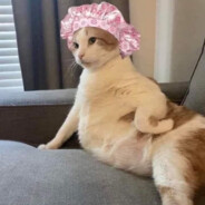 NAM