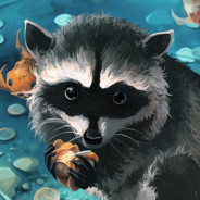 Raccoon