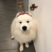 FullSendMoët's Avatar