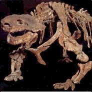 scuttosaurus