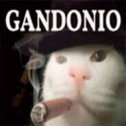 ToxicPanda