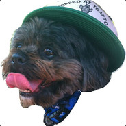 SAM