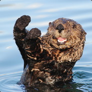 MattTheOtter - steam id 76561197964470772