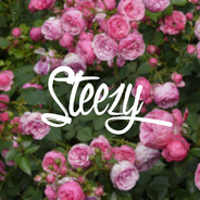 steezy