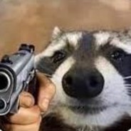 Rocket Raccoon