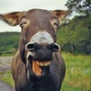 cRaZy DoNkEy's Avatar