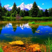 NATUREST0UCH