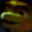 Steam avatar of siokol