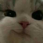 ャ N̶̘̂ą̸͐ẕ̵͂u̸̝̿