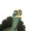 NaVi_Oogway