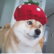 ♥♥♥♥