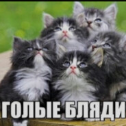 panic attack