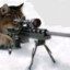 Gato sniper