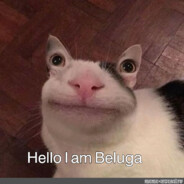 Beluga
