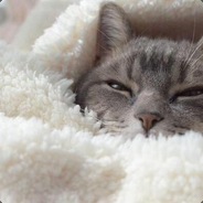 patricko