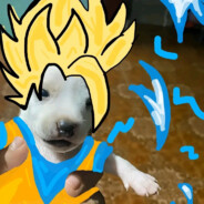 Goku19190 *******