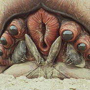 Brain Bug