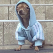 Gontrand le Veinard's Avatar