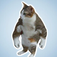 NullPointer's Avatar