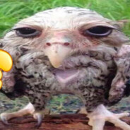 sam