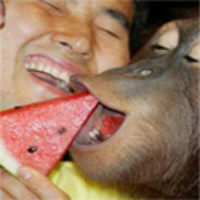 Mesuchang