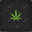 Group Avatar