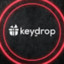 Sdネオナチ KEYDROP