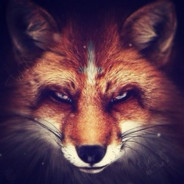 (= 🦊 🐾 Lisi4ka 🐾 🦊 =)