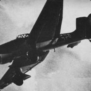 t-hawk3983
