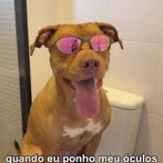 Sobrinho do Pitbul do Samba