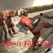 Wenis Fly Trap♪