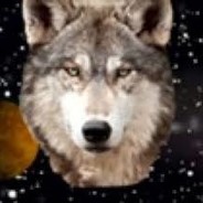 Solar System Wolf