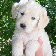 Video Game Enjoyer's Avatar