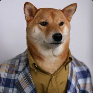 Major Bark