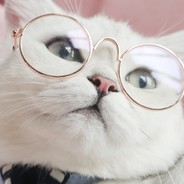 マカロン's Avatar