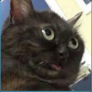 turboSvin