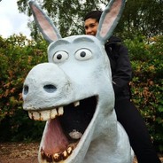 El Burro Falopeado