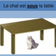 El gato esta bajo la mesa