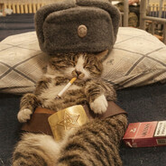 Steam Community Avatar