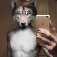 whoisalizard