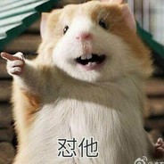 小鸡子露出黑角了吧's Avatar