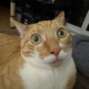 Darcry