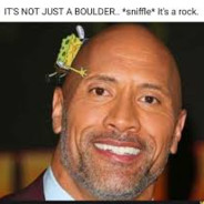 It's A Rock