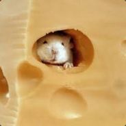 Micey - steam id 76561197961868111