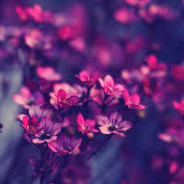ExY ツ