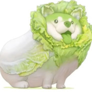 苇名一心。