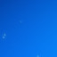 𝐇𝐚𝐰𝐤𝐤