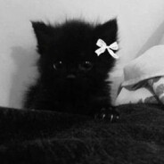 Steam profile avatar of kowa