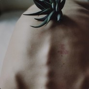 Nameukoscax