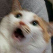 wahhh